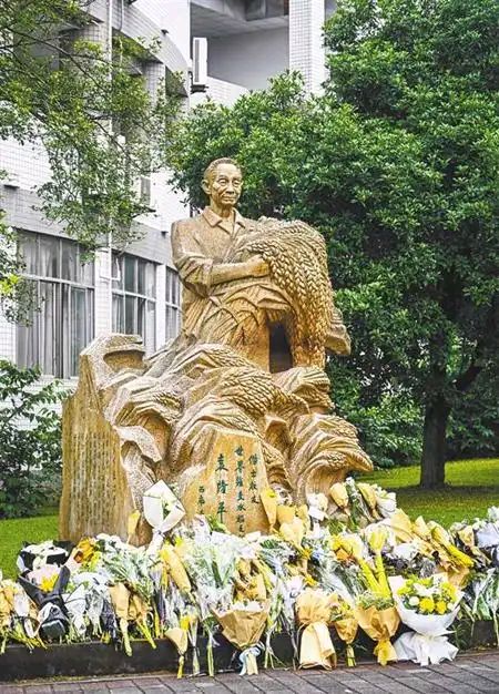【隆重推出】《天堂稻花香》 作者 张子周 ‖ 主播 赵晓霞（图7）