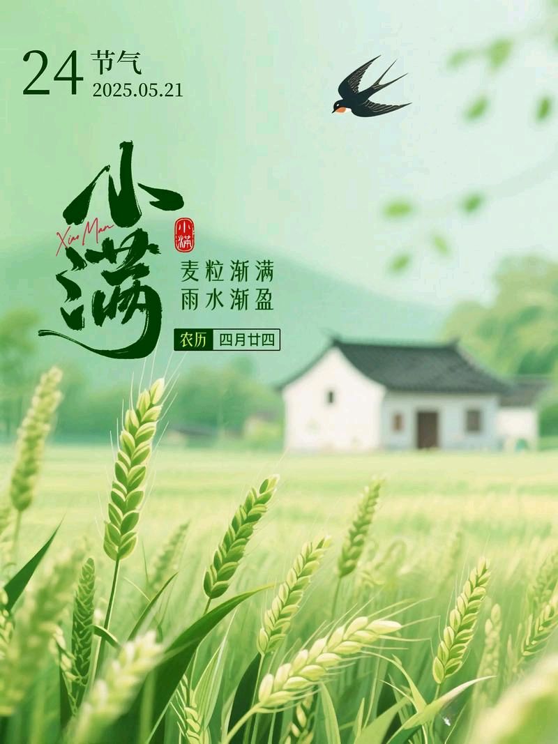 叶再：小满
