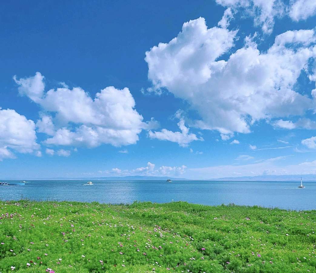 江河湖海话神州湖光山色青海湖文/苟双进（图4）