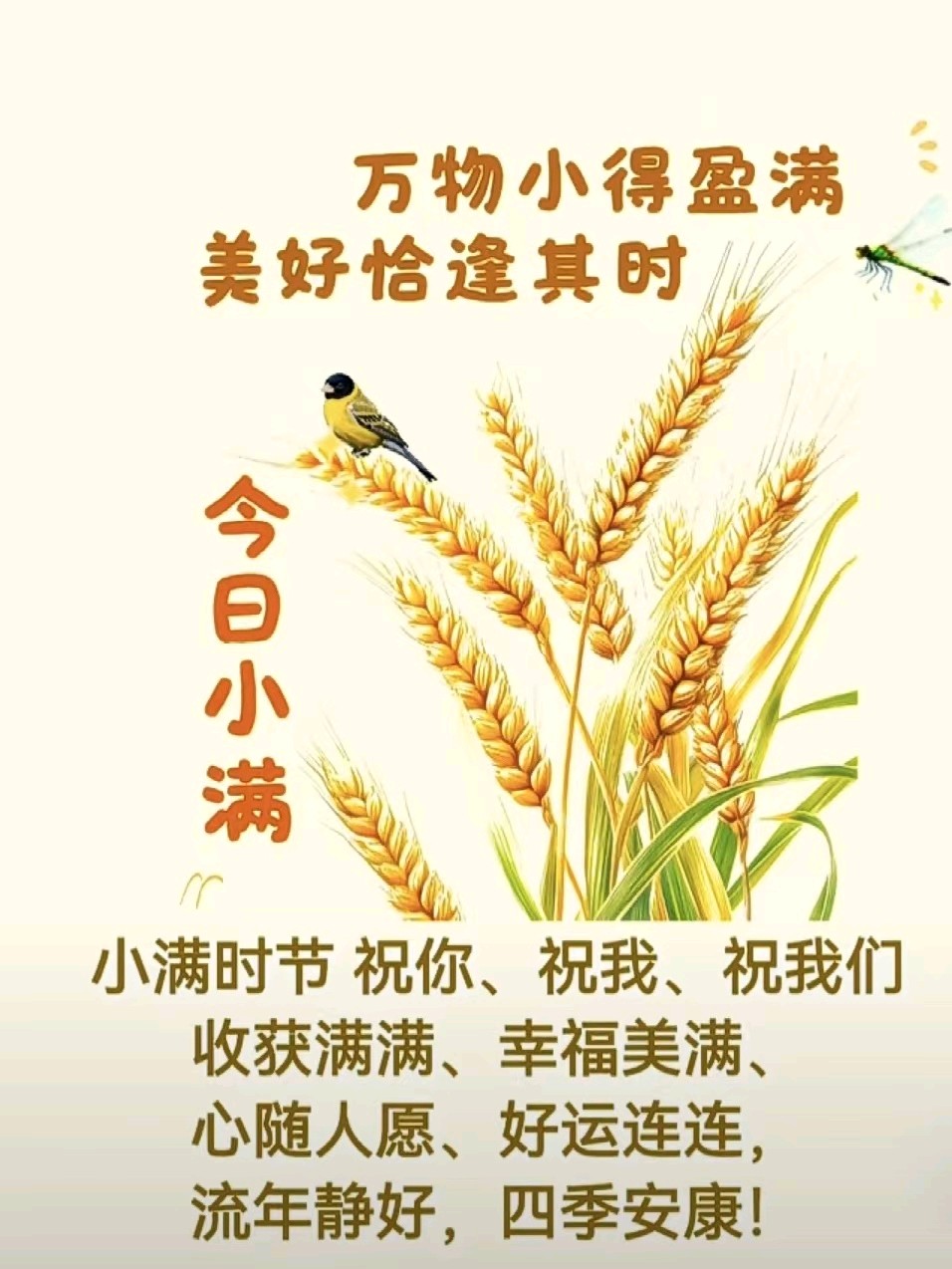 小满吟诗三首/姜瑛 张培兰 高塬都市头条~西安头条