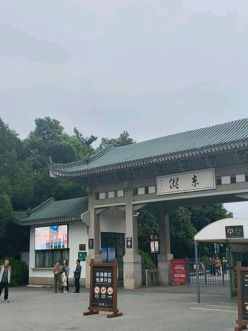 沙漠胡杨：再游东湖感言
