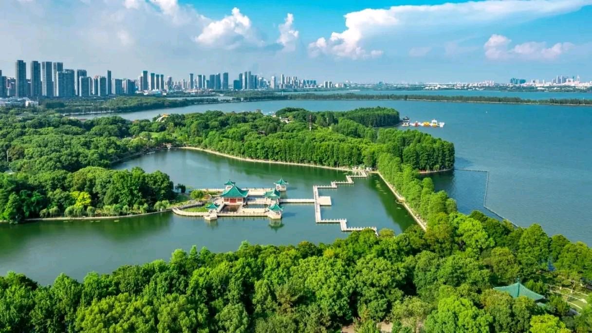 沙漠胡杨：再游东湖感言（图3）