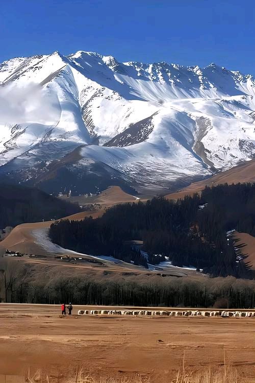 歌山画水：祁连雪冷，热血难凉（图4）