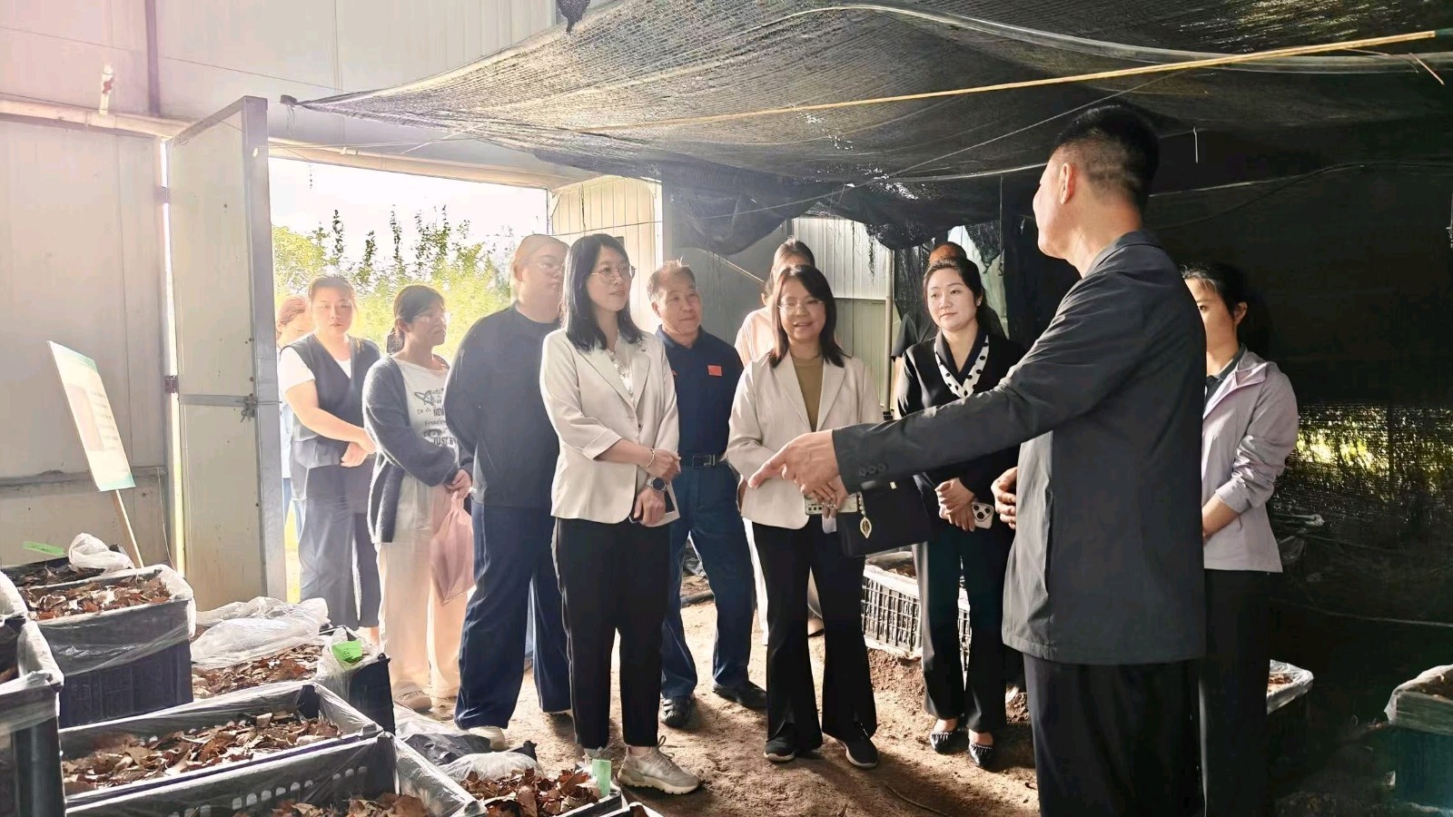 田间课堂解难题——“农业科普河南行”走进宝丰(图2)