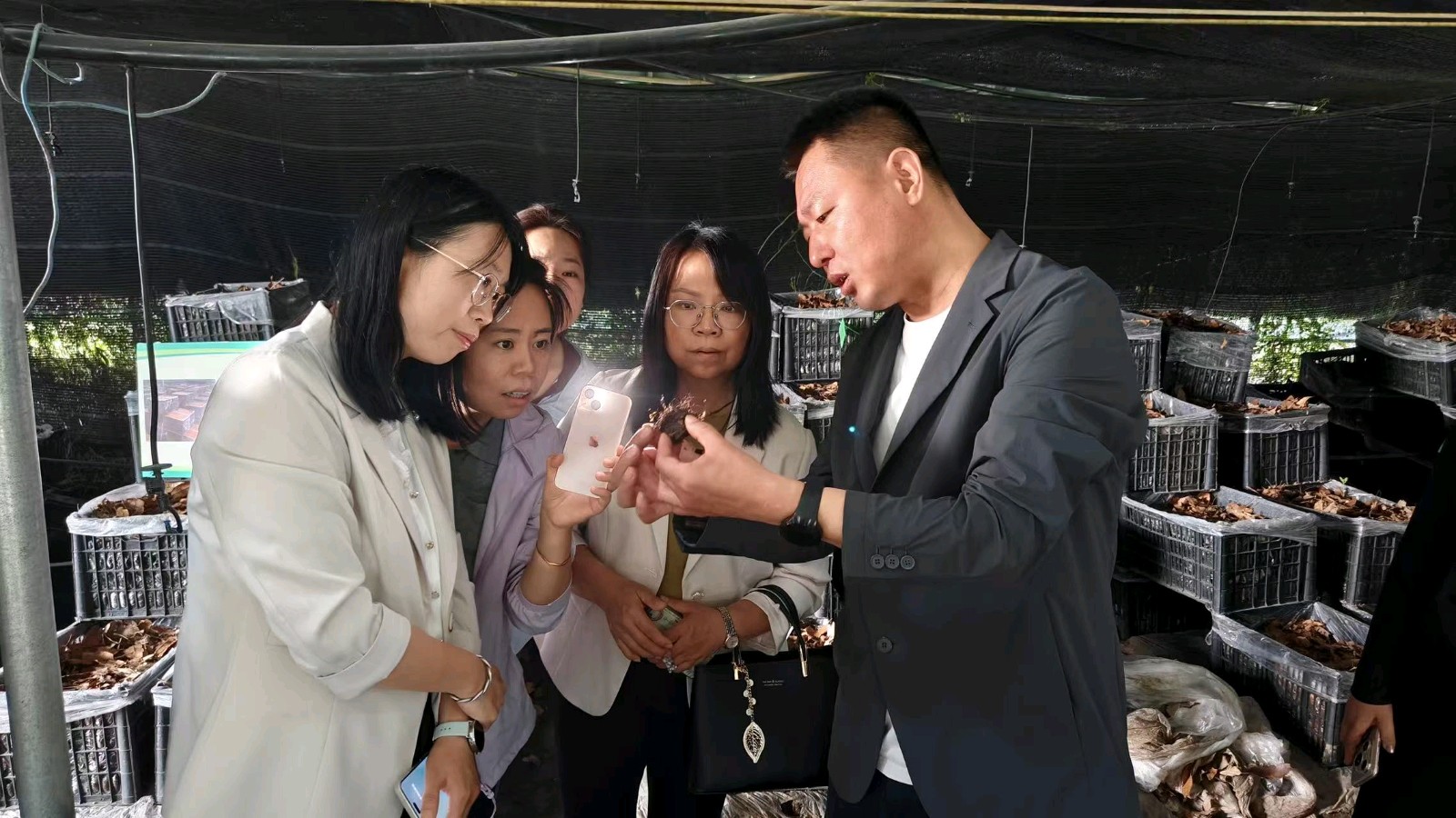 田间课堂解难题——“农业科普河南行”走进宝丰