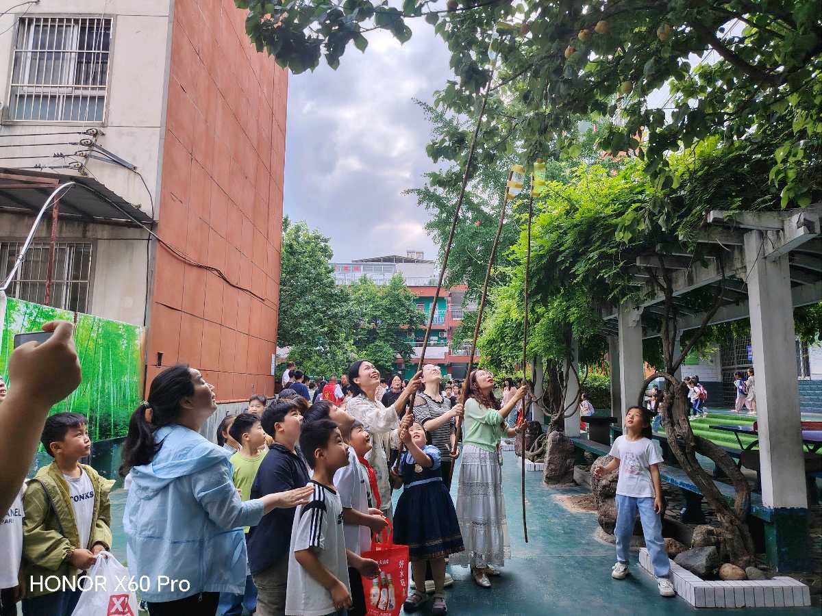 鲁山县：杏韵盈枝育桃李 劳动逐梦享丰收（图3）