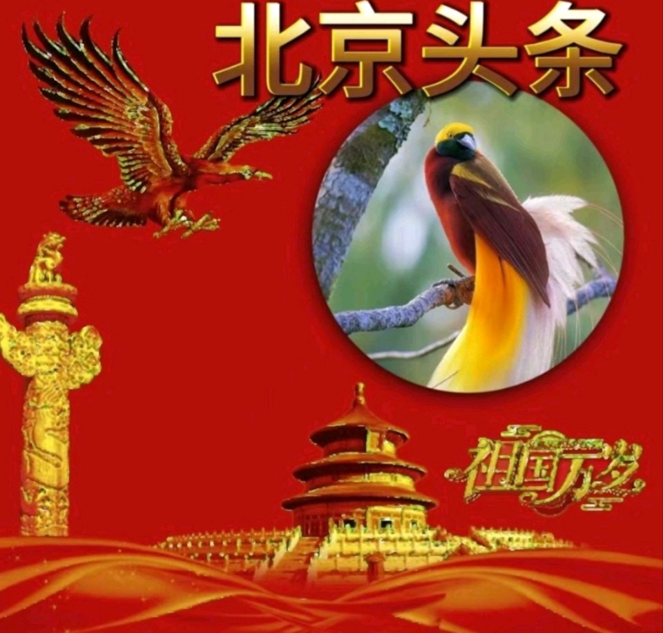 中华红旗国际诗社~北京头条~因缘际会:作者/雨下罗加:朗诵/柔荑(图2)