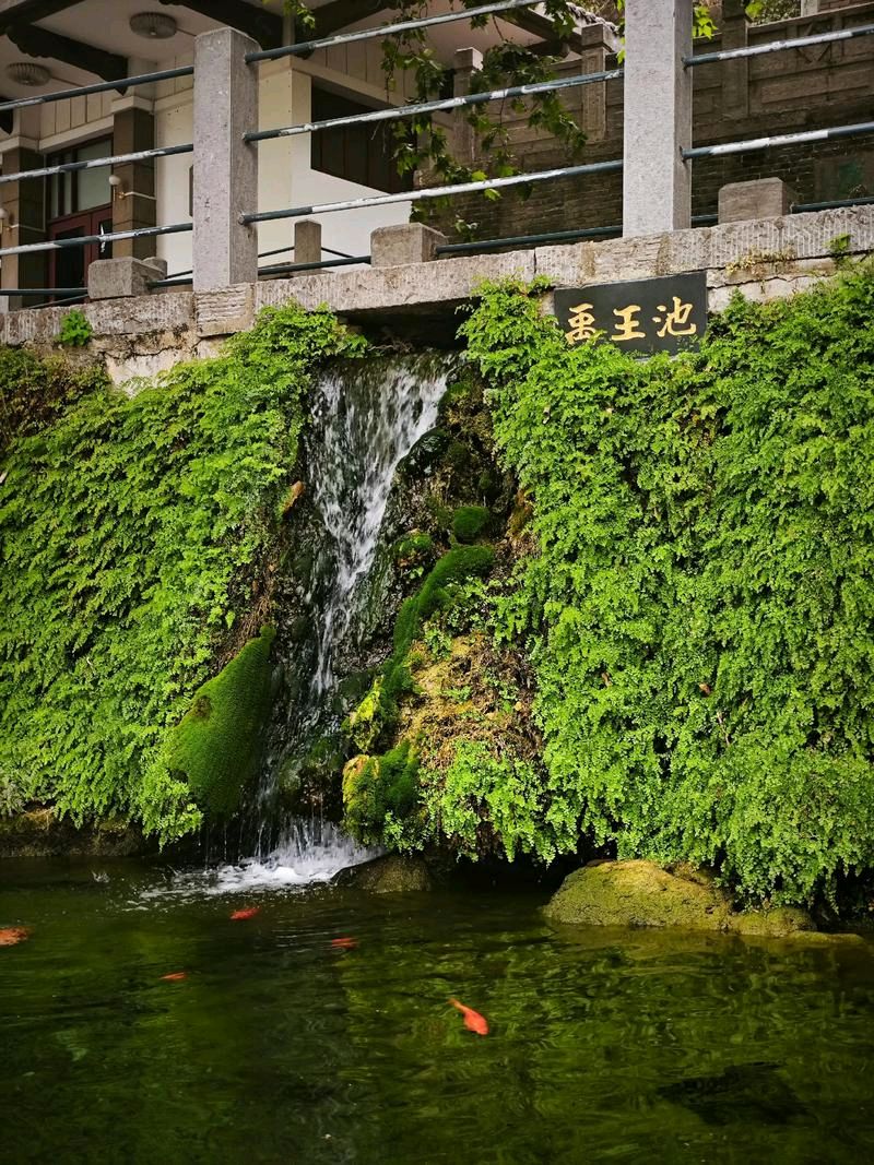 禹王池塘观鱼（图6）