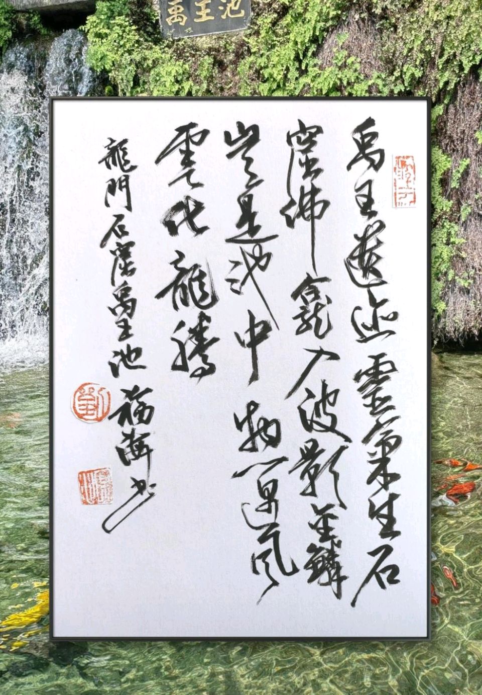 禹王池塘观鱼