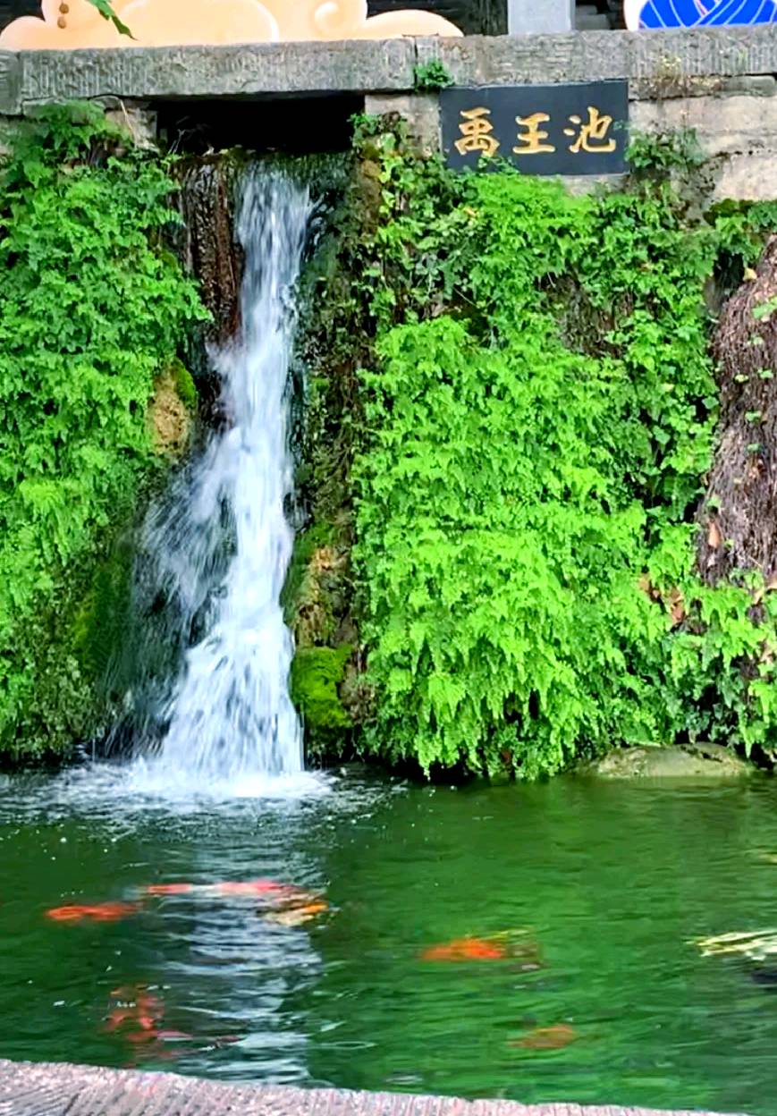 禹王池塘观鱼（图8）