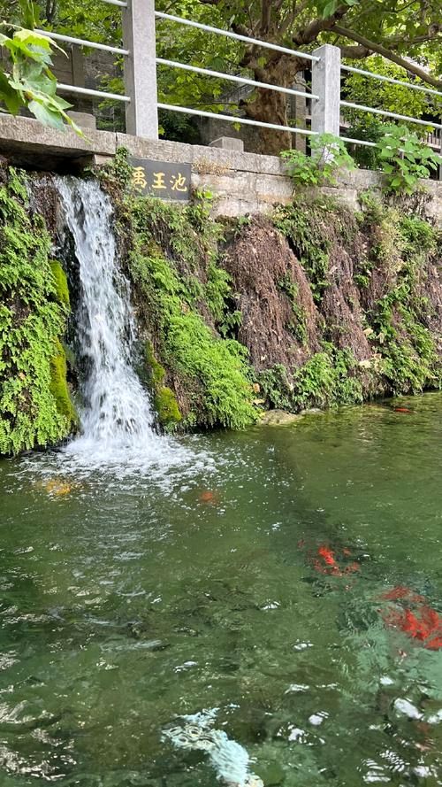 禹王池塘观鱼（图5）