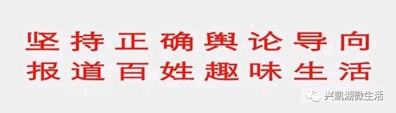 【人物特写连载】一种名叫罗雁的回响—记著名演讲家罗雁的“正气”与“风骨”（之八）（图2）