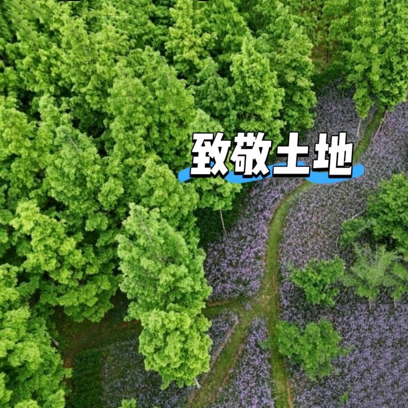 【隆重推出】心海同舟组诗《致敬土地》 ‖ 主播 桃子&乐芳&帝企鹅（图4）