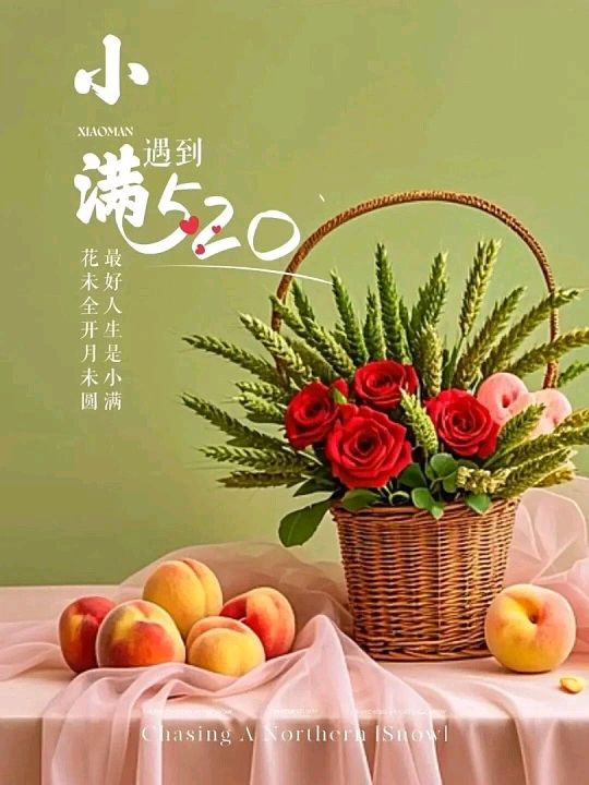 【鲲鹏文苑】2026小满邂逅520诗词作品专辑（总第129期）（图15）