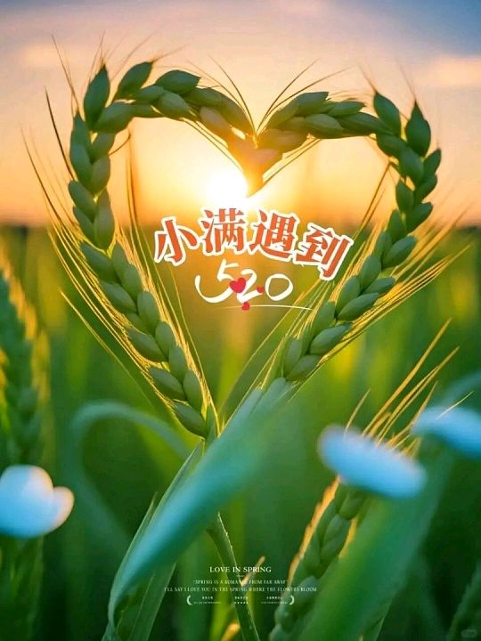 【鲲鹏文苑】2026小满邂逅520诗词作品专辑（总第129期）（图20）