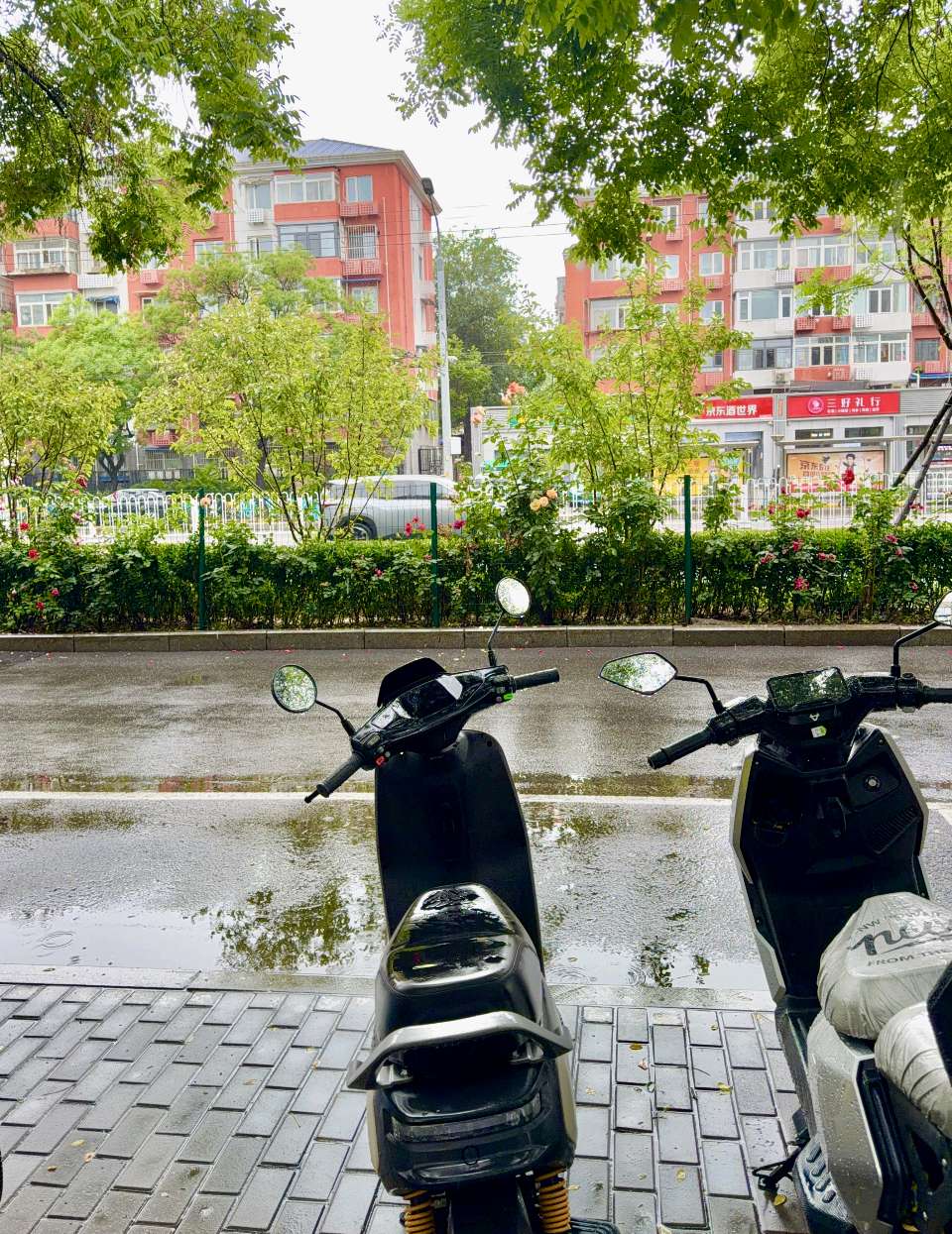 【再相聚】京雨潇潇老友聚： 文/解 放（发于北京）（图13）