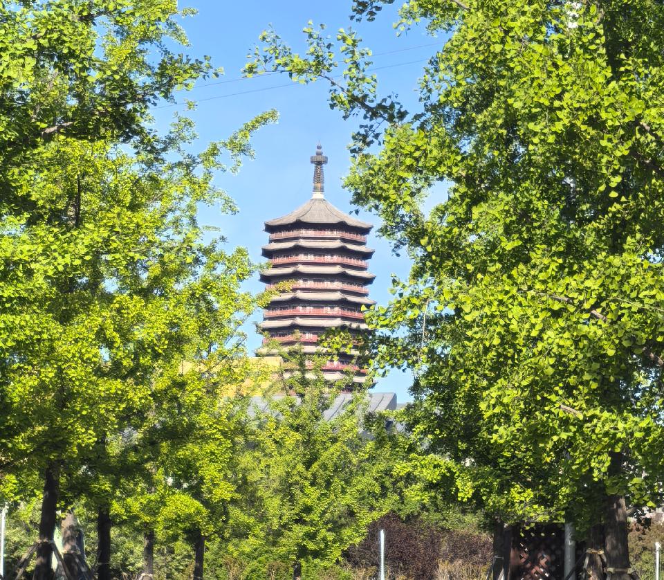 【乐天头条】文学社核心作家姬花池先生精品//江城子·榴花枝头蝉鸣叫（图2）