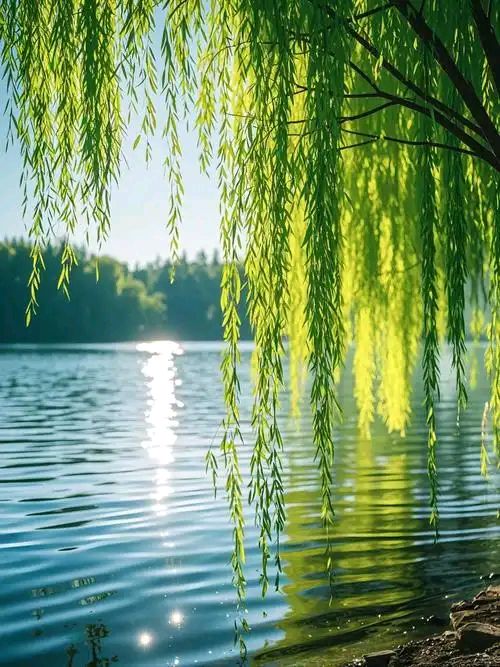 【明 天（外一首）】文/铁军 ‖ 诵/雪花飞舞【采菊文苑美文美诵】总9752期（图2）