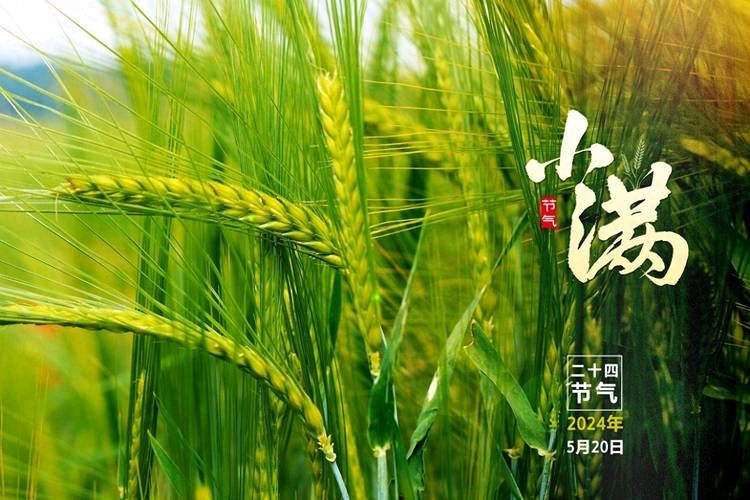 《五律：小满时节郊游》文/于明华——山东诗人