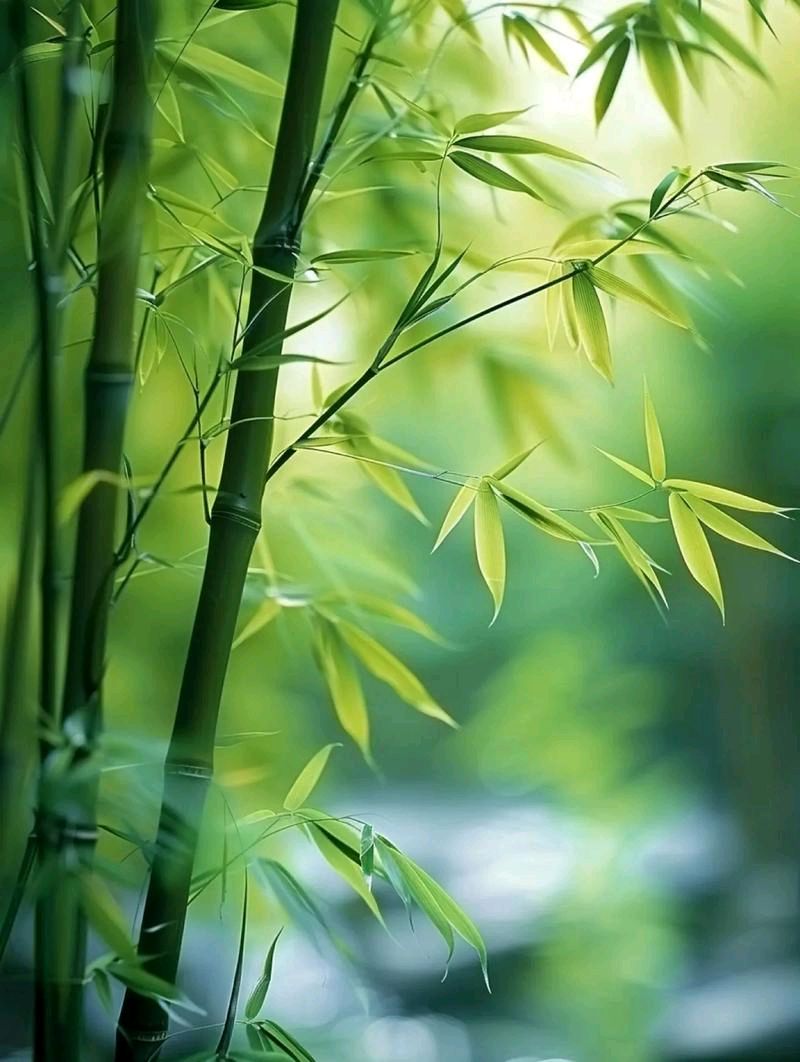 白族野夫：屎大林（图2）