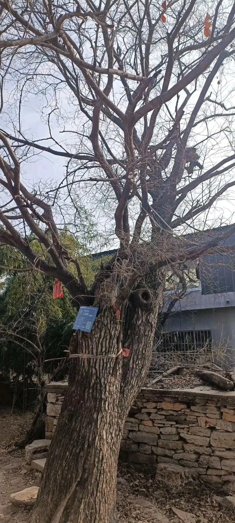 秦世忠:诗歌选粹||巴彦诗协【1148】(图31)