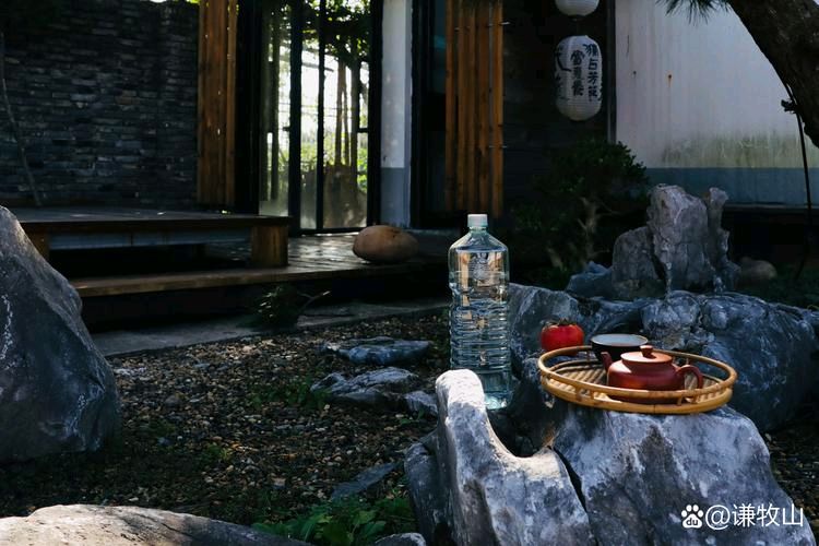 草原雄鹰诗社2026第17期精美小诗作品展播《天子山品茶》作者/草原雄鹰诗社诗人（图19）