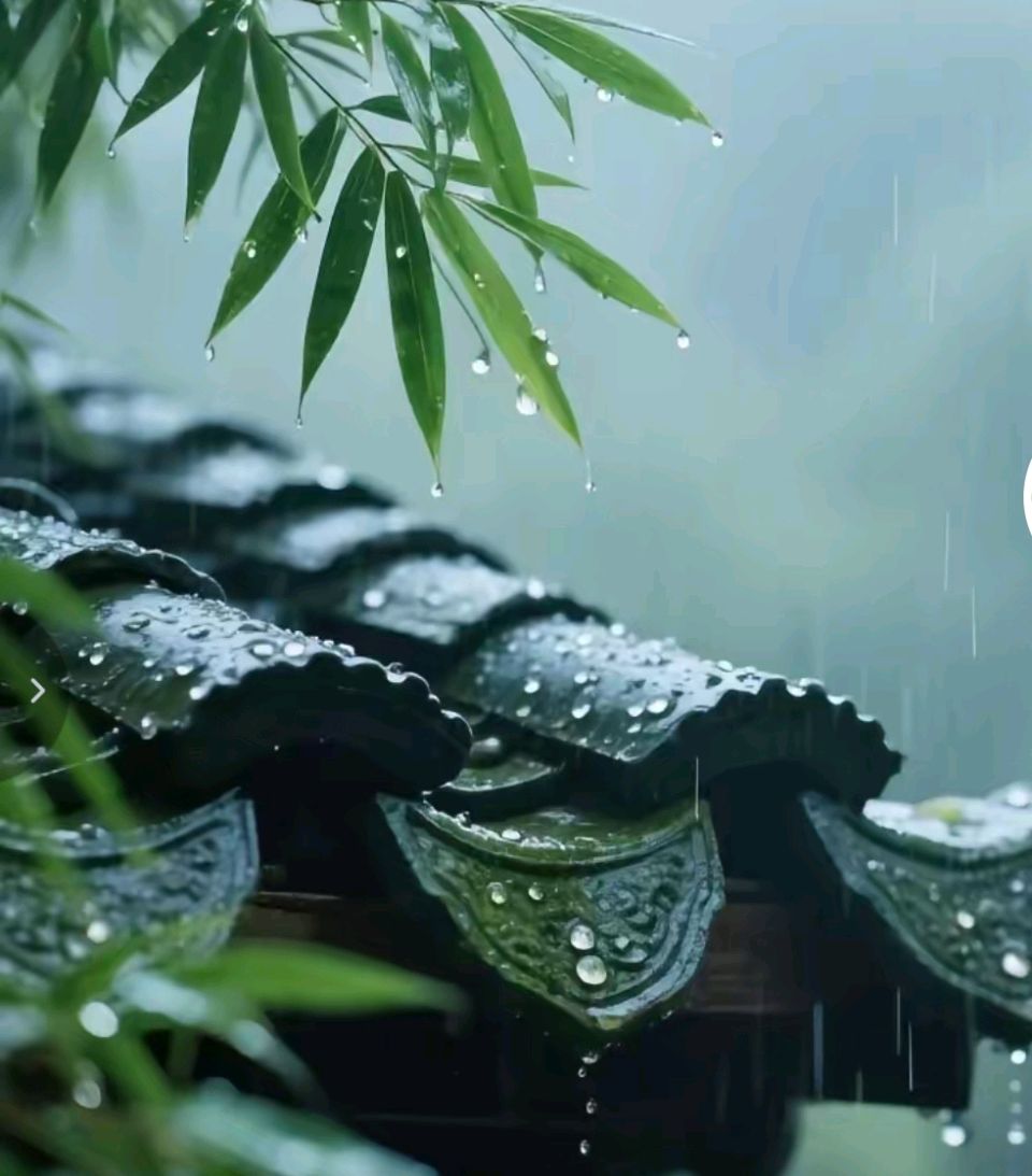 诗二首