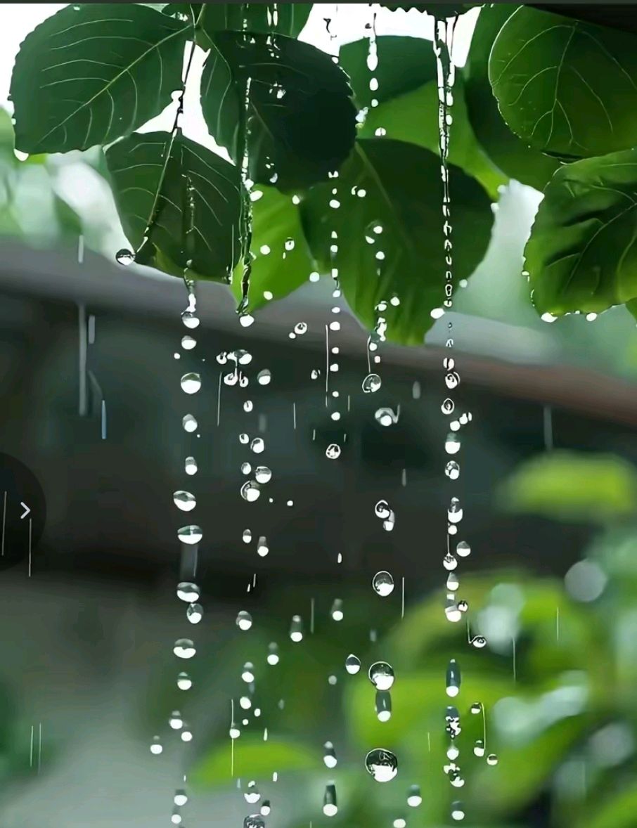 诗二首（图2）