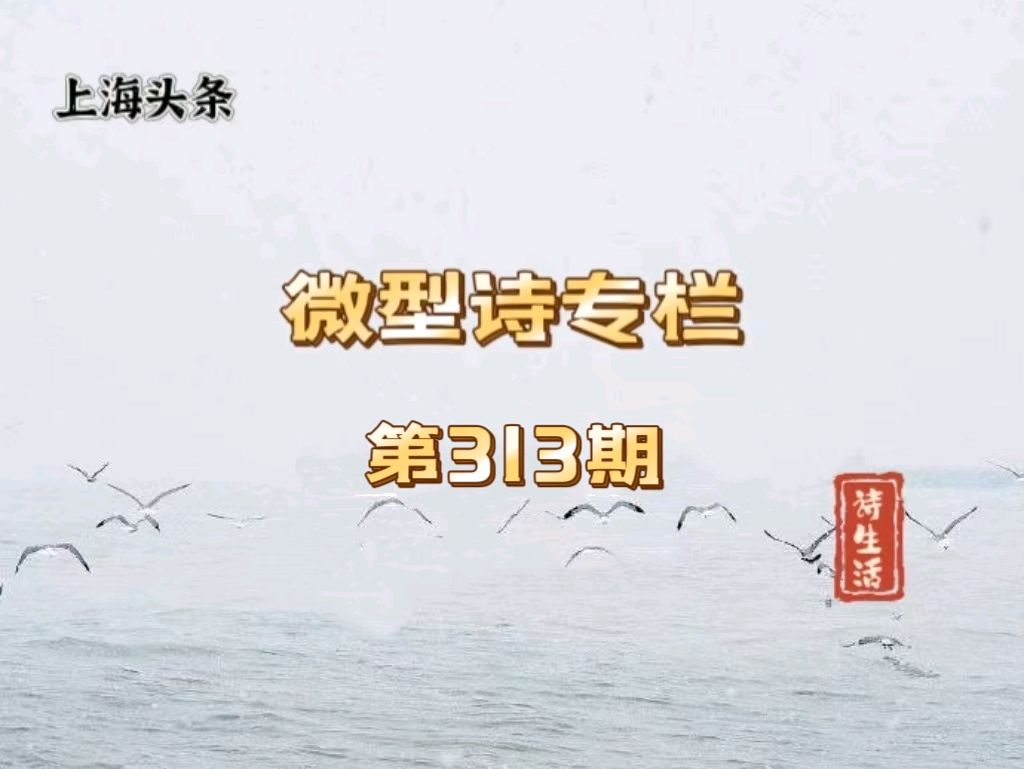 【诗生活】微型诗专栏第313期