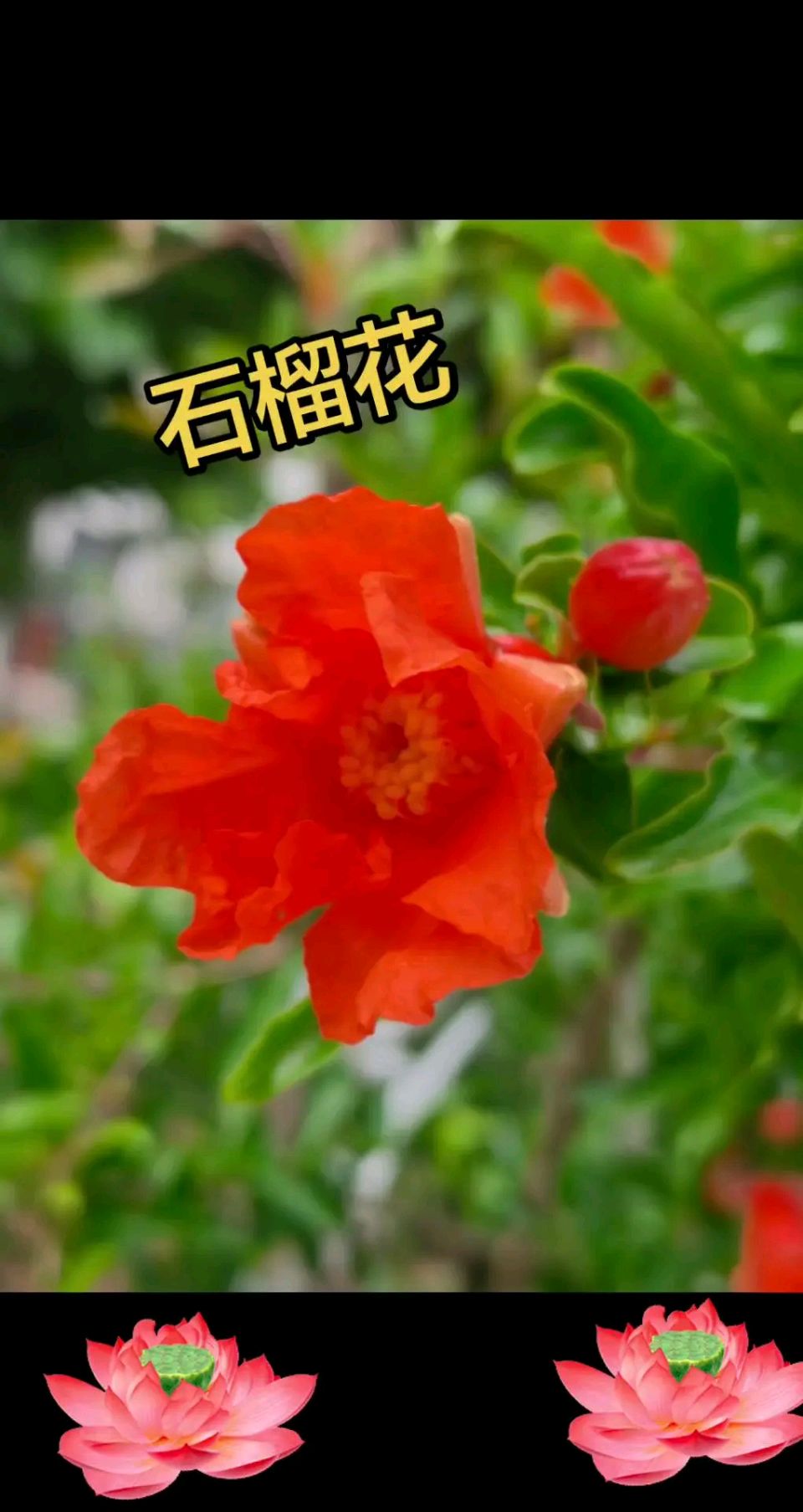 诗词家石景章老师近作与君共赏(图10)