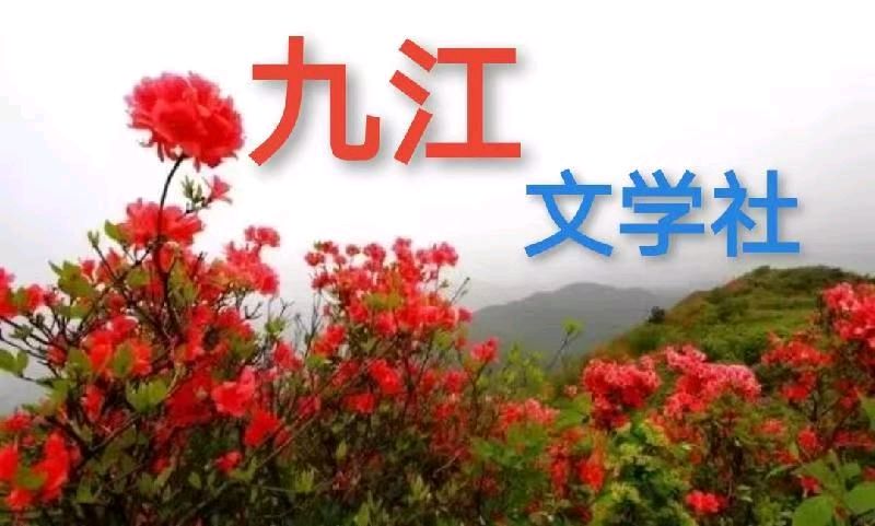 洪新爱社长散文欣赏：种菜修心养性