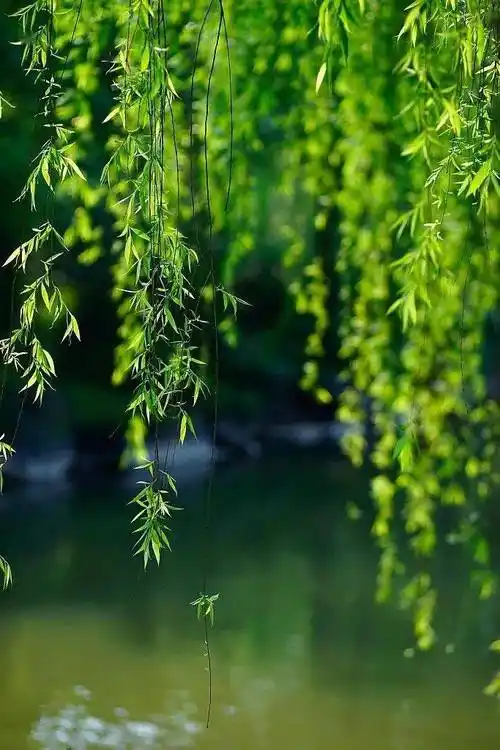 聆听 ‖ 桂芬朗诵《向人体致敬，灵魂与大脑&71》作者/王鹏博（图5）