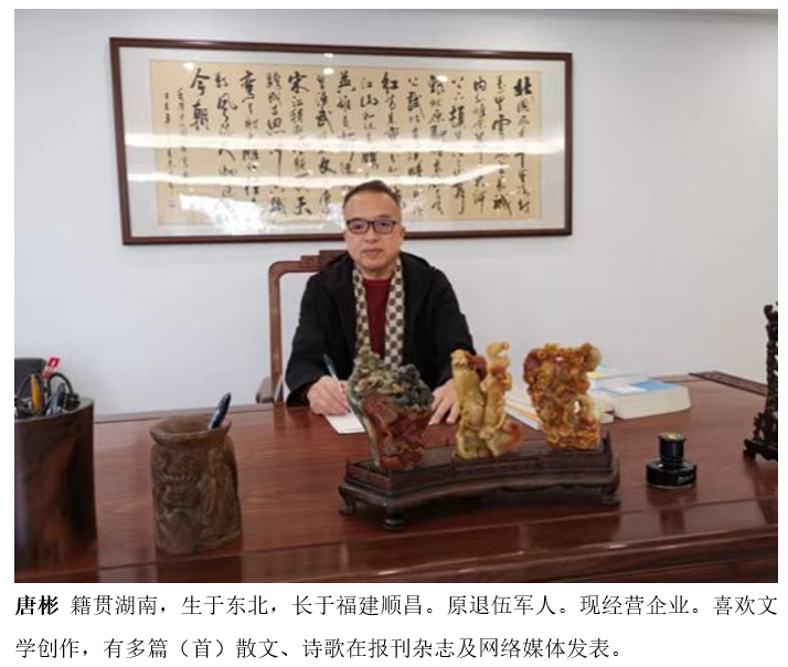 唐彬 唐彬