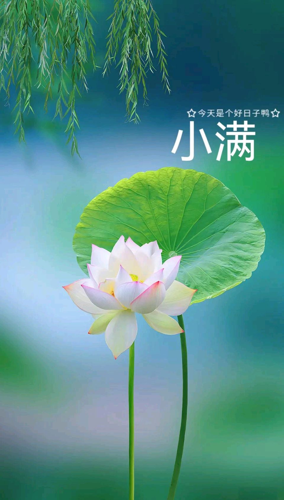 【老丫文苑】风吹那蓝诗歌集锦//（福建）（图3）