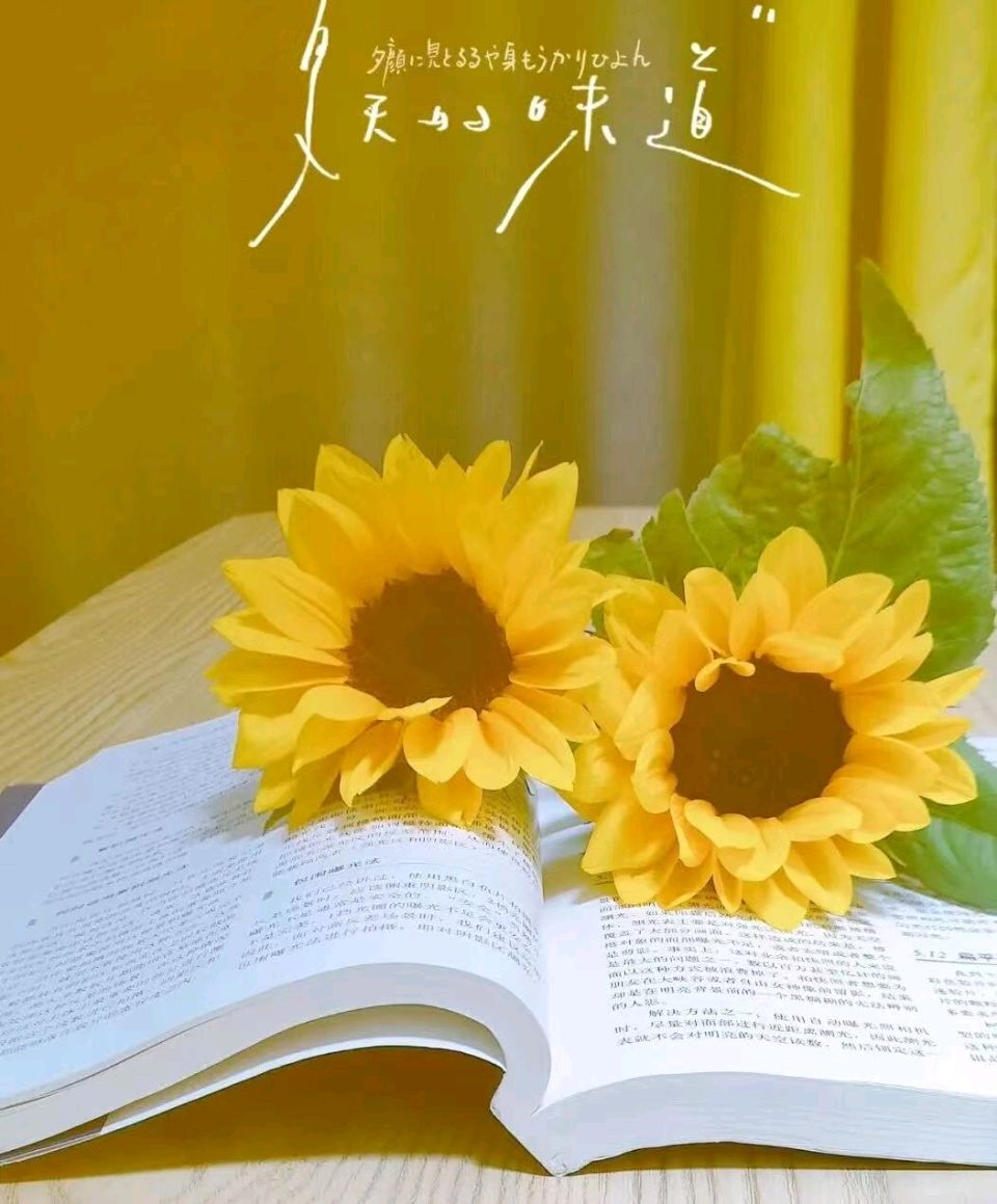 【都市头条向幸福出发编辑部】第15804期 一束暖阳，照亮群里的四季（图3）