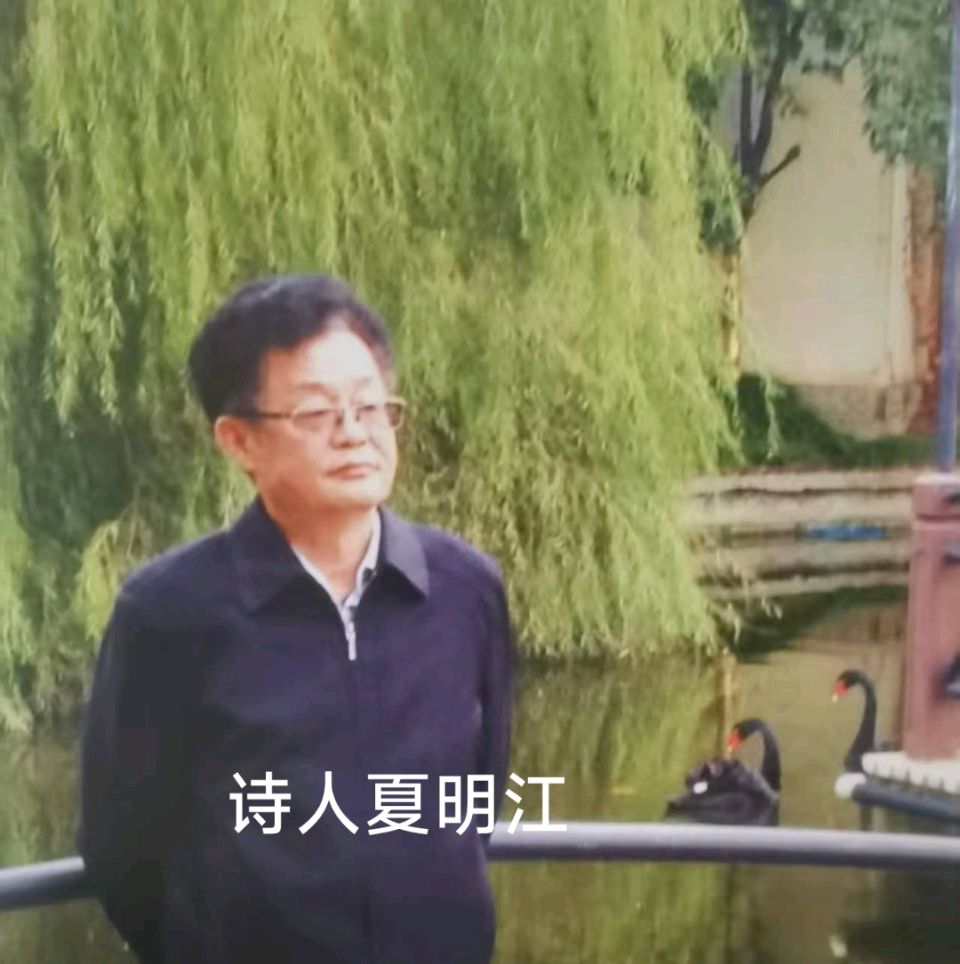 夏明江诗词 马蹄声里拾韵之十四（图13）