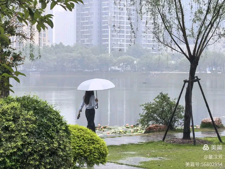 夏明江诗词 马蹄声里拾韵之十四（图11）