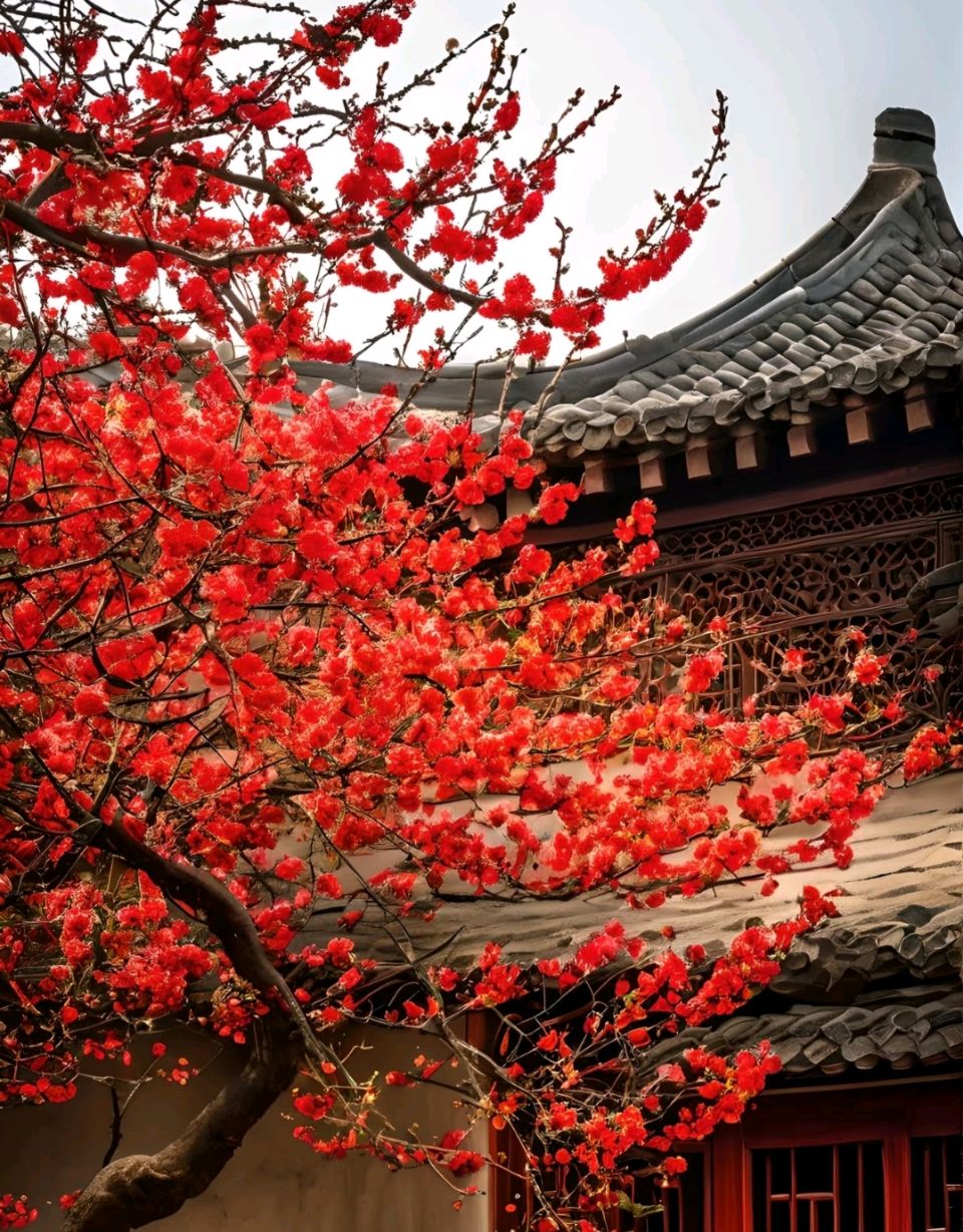醉花阴《红杏》 作者：唐增虎（山东）（图5）