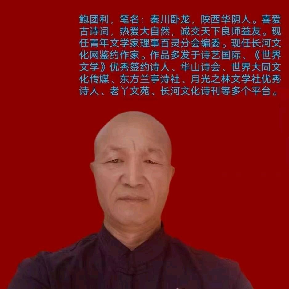 【老丫文苑】鲍团利诗词集锦//（陕西）