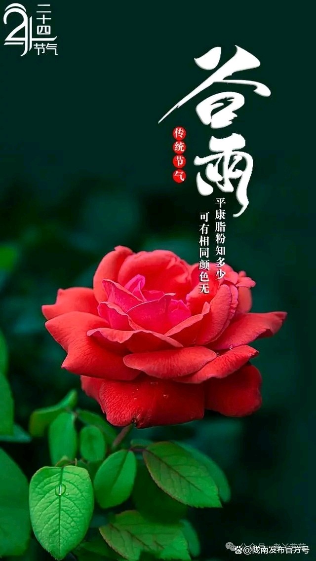 【老丫文苑】关成民//五律·初夏//（辽宁）（图4）