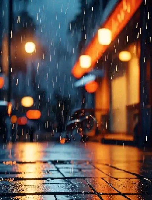 【隆重推出】《雨中的世界》作者 寒香腊梅 ‖ 主播 紫薇（图5）