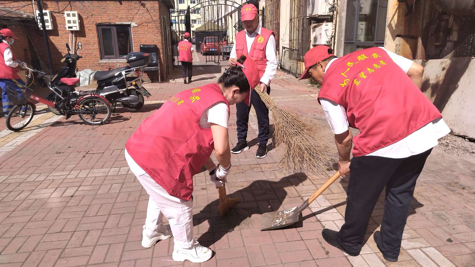 暖心志愿行 服务暖民心（图4）