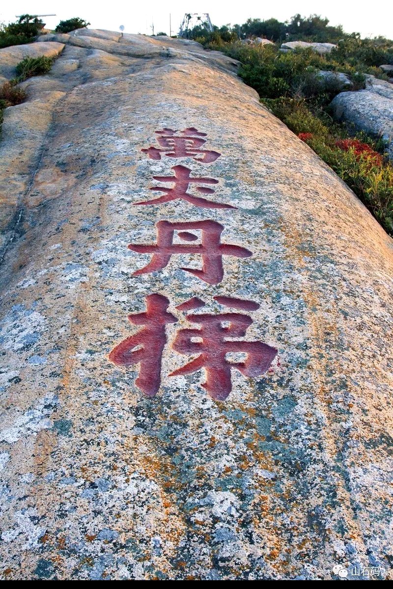 漳人'蛮番' 姑奶的'爱'随性/梧闽（图15）