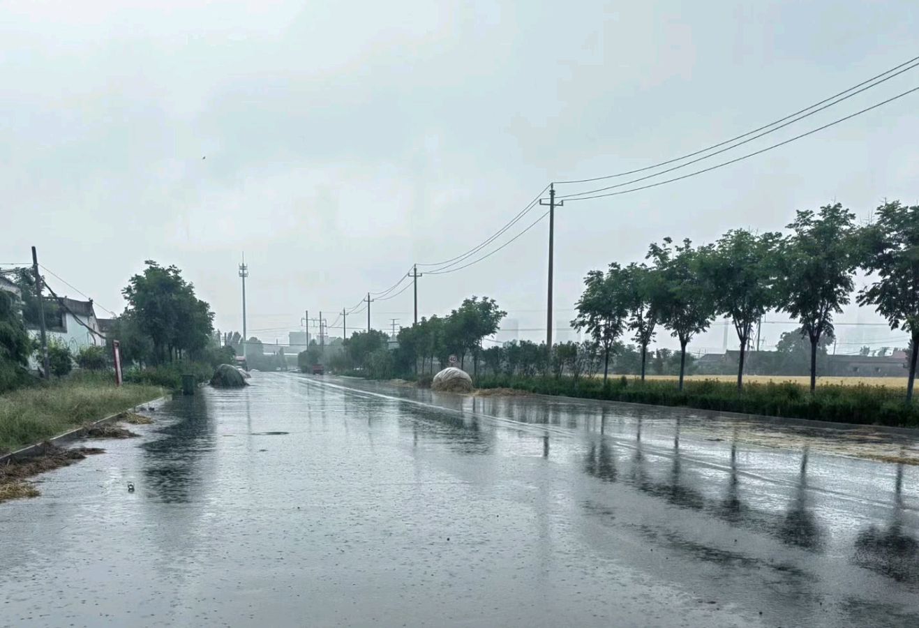 死心吧、都是犟种