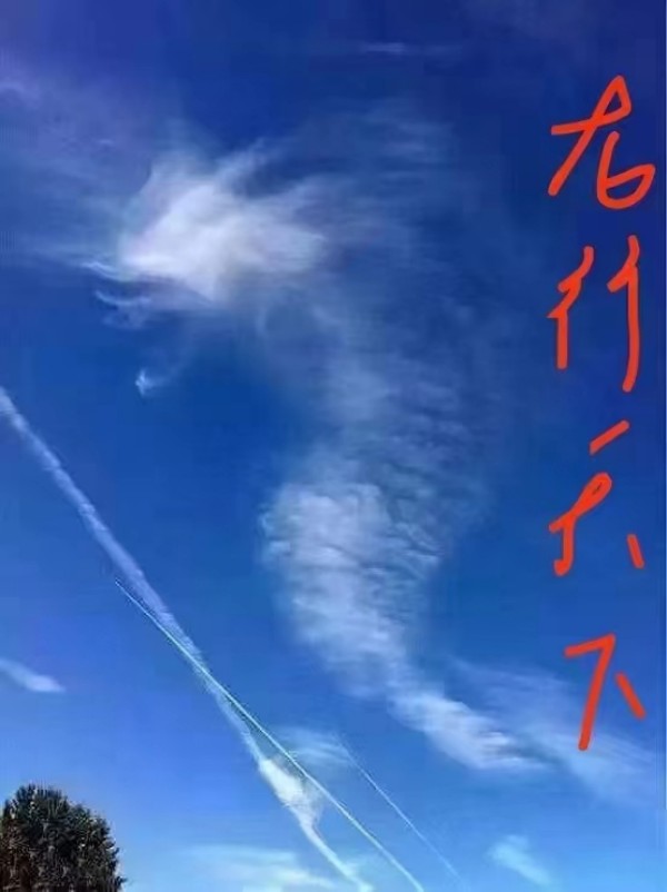 道开天地 龙耀中华——记当代龙文化宗师·陈兆威(图4)