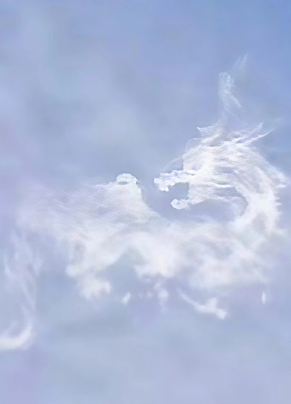 道开天地 龙耀中华——记当代龙文化宗师·陈兆威(图6)