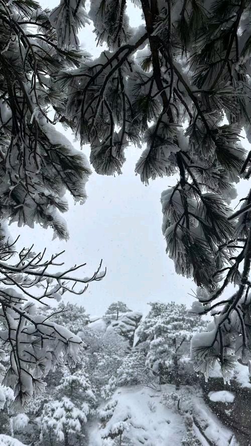 歌山画水：半山春色与半山雪（图2）
