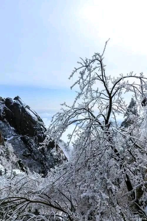 歌山画水：半山春色与半山雪（图3）