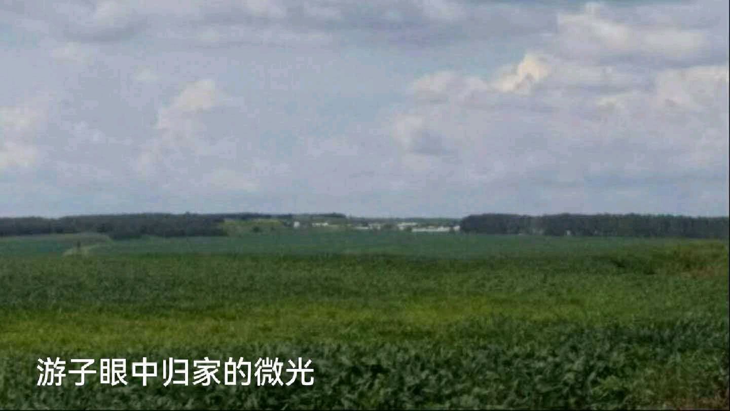 邬云峰《桂影刻乡愁》诵读：于蕾（图3）
