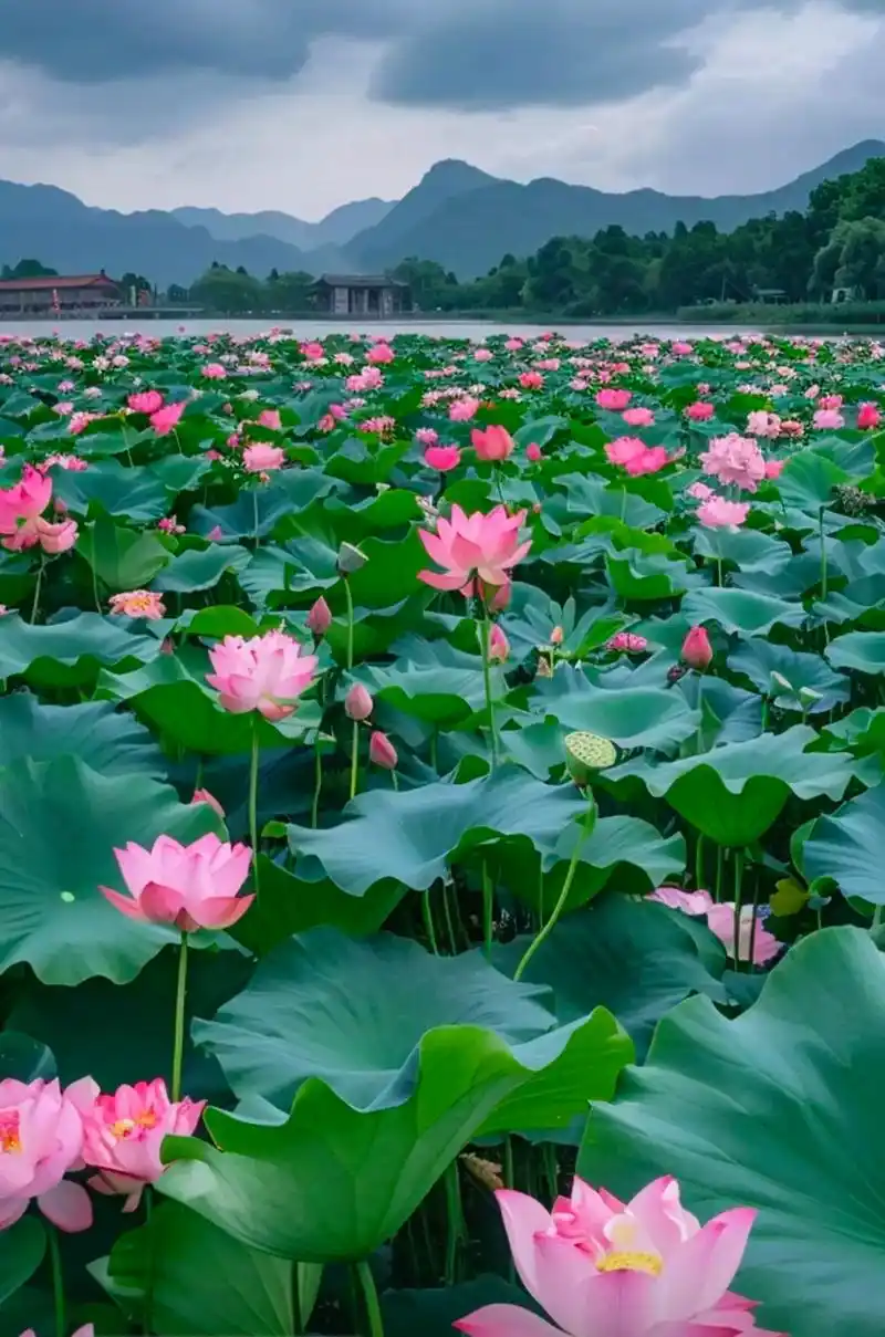 images/2/2026/05/Q6686578vam7FO69c764aoai5o86VZ.webp